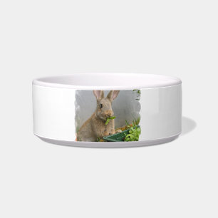 Cottontail Rabbit Pet Bowl