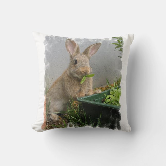 Cottontail Rabbit Pillow (Front)