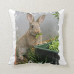 Cottontail Rabbit Pillow