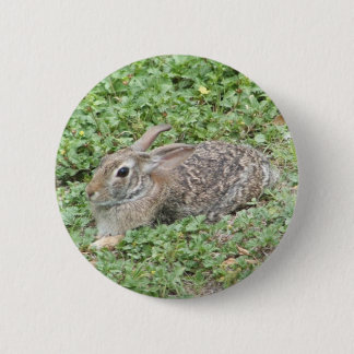 Cottontail rabbit pinback button