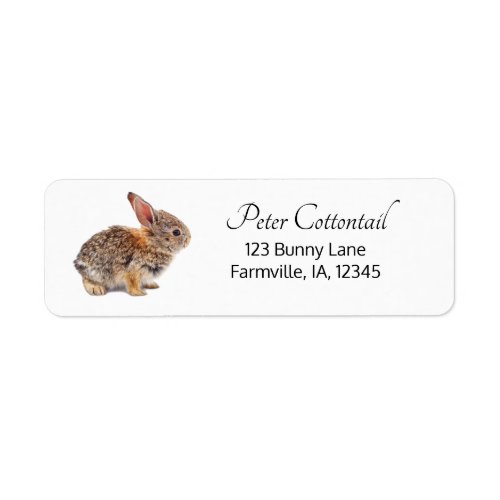 Cottontail Rabbit Return Address Label