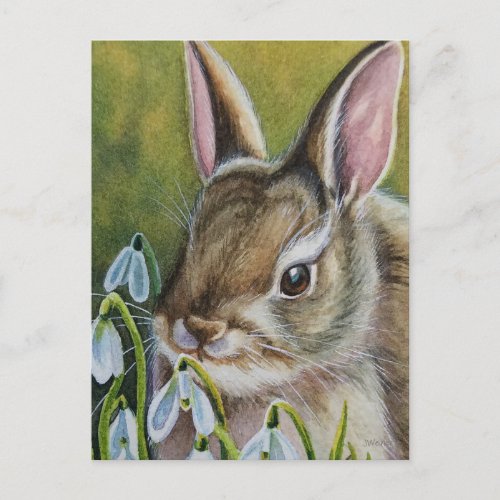 Cottontail Rabbit  Snowdrops Watercolor Art Postcard