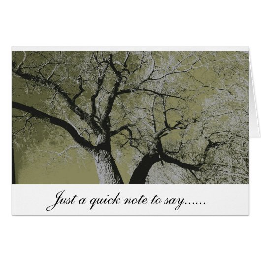 CottonWood (Front Horizontal)