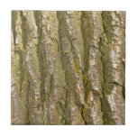 Cottonwood Tree Bark Texture Ceramic Tile