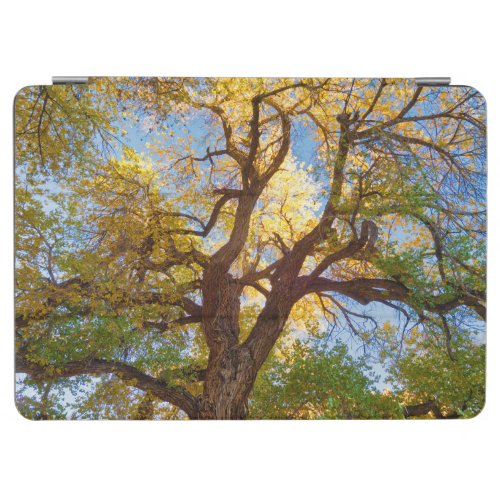 Cottonwood Tree  Capitol Reef National Park Utah iPad Air Cover