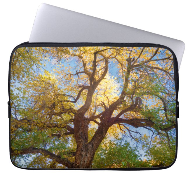 Cottonwood Tree | Capitol Reef National Park, Utah Laptop Sleeve (Front)