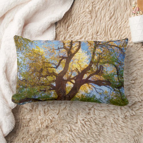 Cottonwood Tree  Capitol Reef National Park Utah Lumbar Pillow
