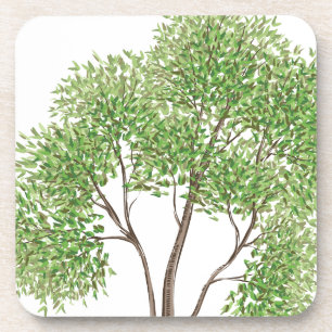 Cottonwood Tree Drink Coaster