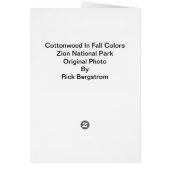 Cottonwood Tree In Fall Colors Cards (Back)