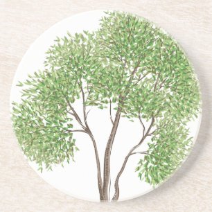 Cottonwood Tree Sandstone Coaster
