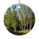 Cottonwoods Along Moose Ponds Trail at Grand Teton Ceramic Ornament