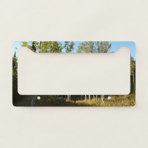 Cottonwoods Along Moose Ponds Trail at Grand Teton License Plate Frame