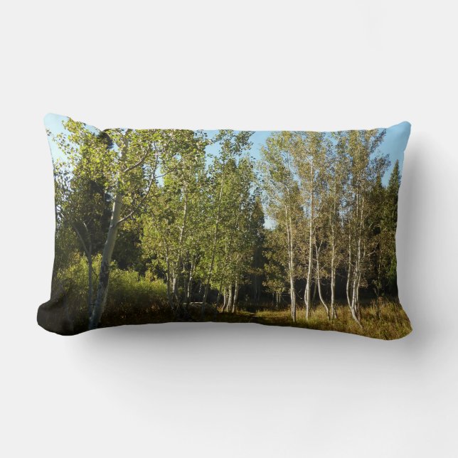 Cottonwoods Along Moose Ponds Trail at Grand Teton Lumbar Pillow (Front)