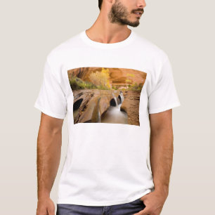 Cottonwoods in Autumn, Coyote Gulch, Glen T-Shirt