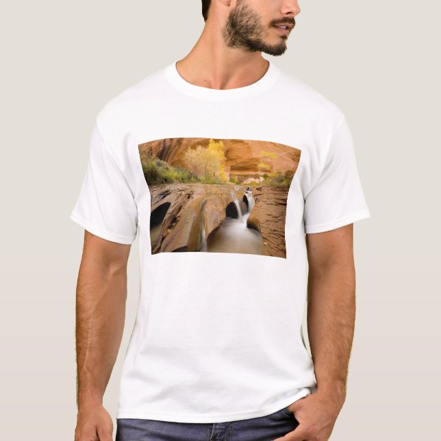 Cottonwoods in Autumn, Coyote Gulch, Glen T-Shirt (Front)