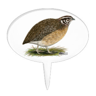 Coturnix Pharaoh Quail Cake Topper