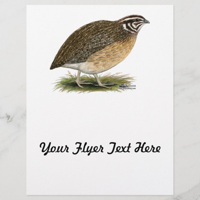 Coturnix Pharaoh Quail Flyer (Front)