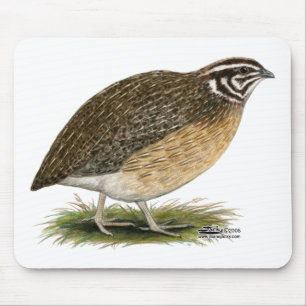 Coturnix Pharaoh Quail Mouse Pad