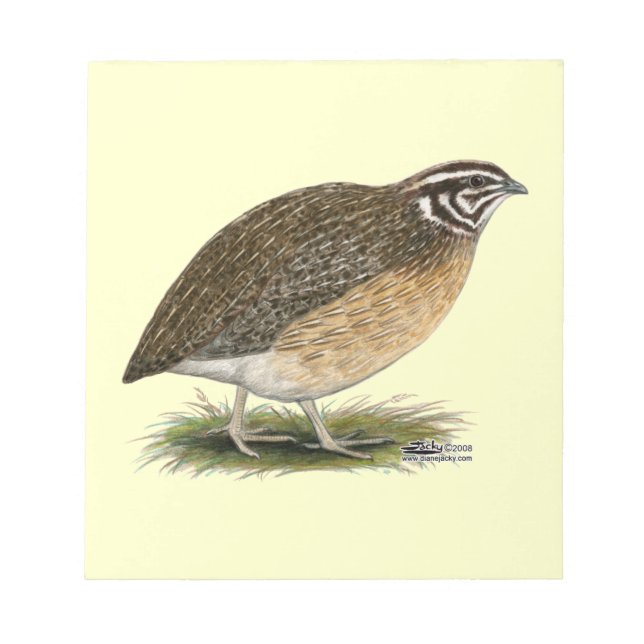 Coturnix Pharaoh Quail Notepad (Front)