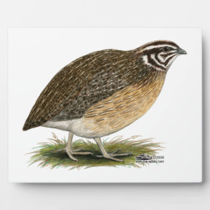 Coturnix Pharaoh Quail Plaque