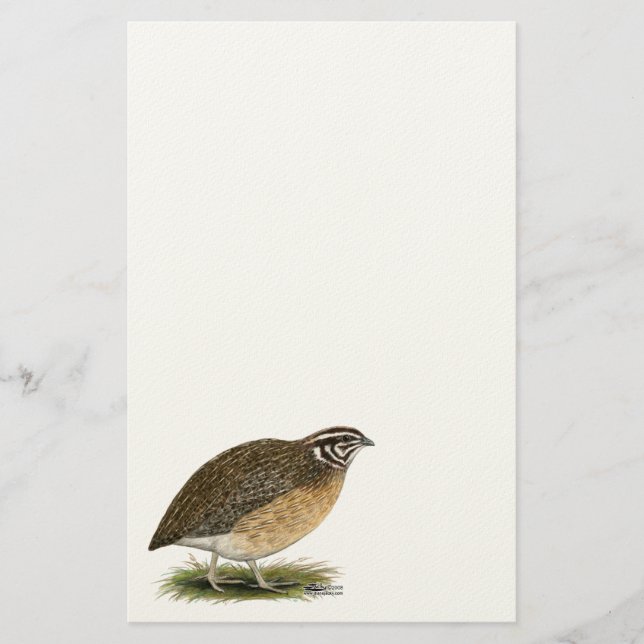 Coturnix Pharaoh Quail Stationery (Front)