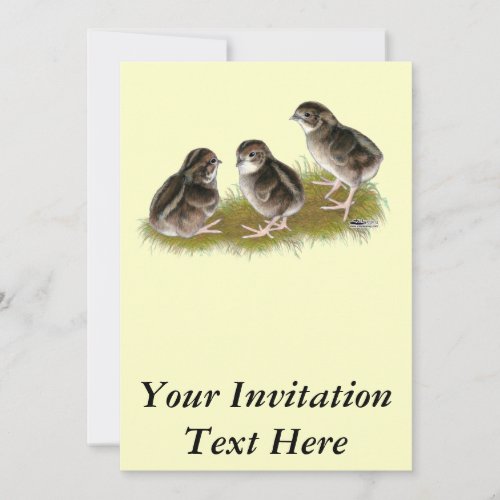 Coturnix Quail Chicks Invitation