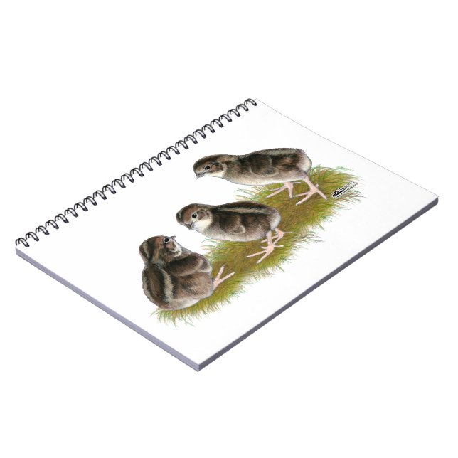 Coturnix Quail Chicks Notebook (Left Side)