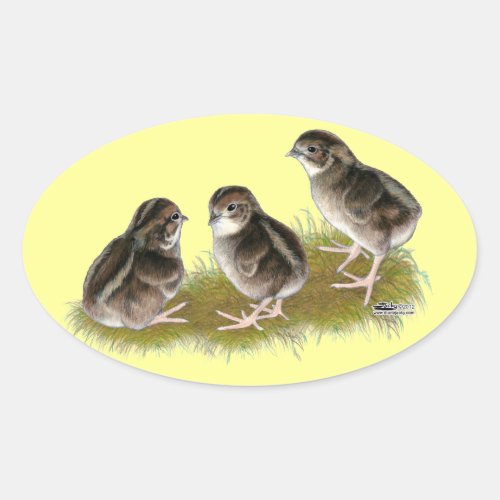 Coturnix Quail Chicks Oval Sticker