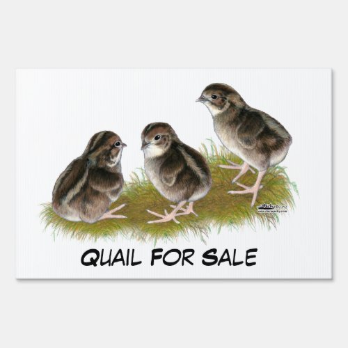 Coturnix Quail Chicks Yard Sign