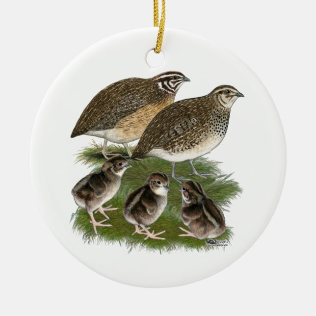 Coturnix Quail Family Ceramic Ornament (Front)