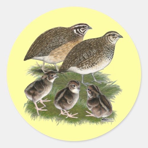 Coturnix Quail Family Classic Round Sticker