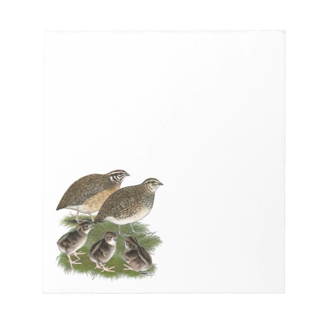 Coturnix Quail Family Notepad (Front)