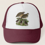 Coturnix Quail Family Trucker Hat