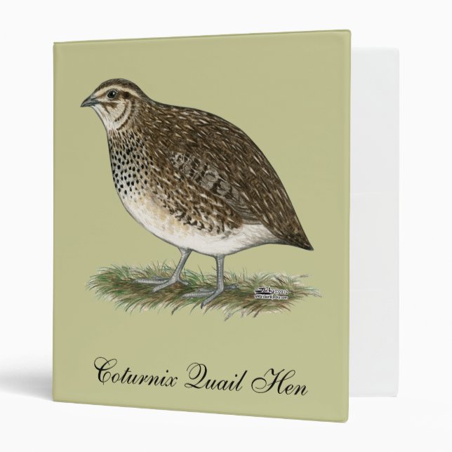 Coturnix Quail Hen 3 Ring Binder (Front/Inside)