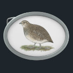 Coturnix Quail Hen Belt Buckle<br><div class="desc">Coturnix quail hens have speckled breasts while the males are buff colored in the same area.  The little hens will lay many eggs a year.  Many are used for pickling.</div>