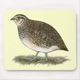 Coturnix Quail Hen Mouse Pad