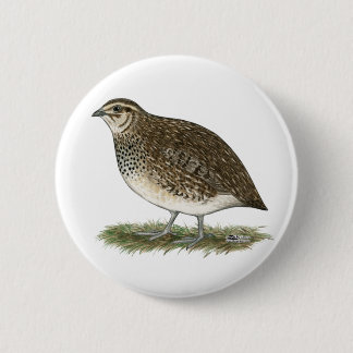Coturnix Quail Hen Pinback Button