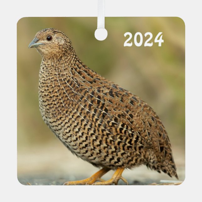 Coturnix Quail Metal Ornament (Front)