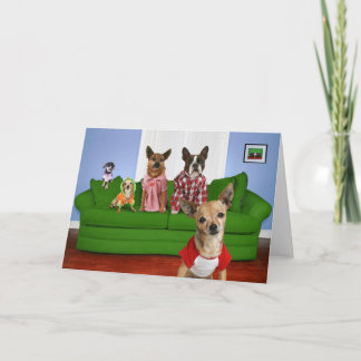 Couch Card