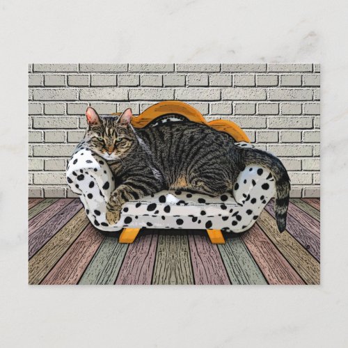 Couch Cat _ Postcard