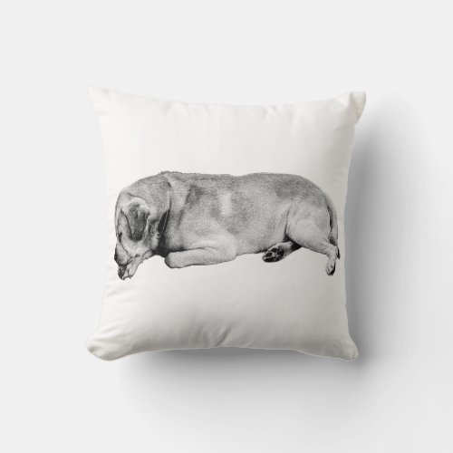 Couch Curl, Safe and Sound Throw Pillow