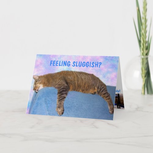 Couch Potato Sluggish Cat Get Well Card