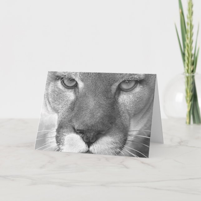 Cougar #1-Greeting card (Front)