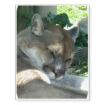 cougar-5 temporary tattoos