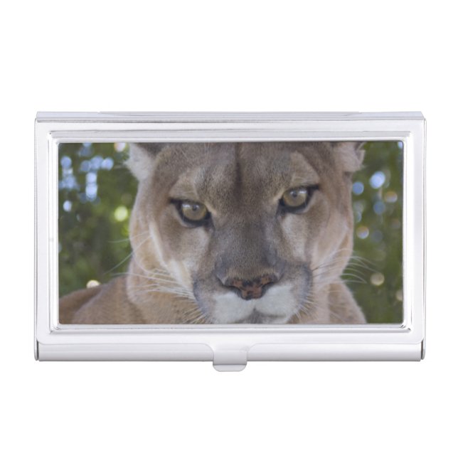 Cougar Business Card Holder (Front)