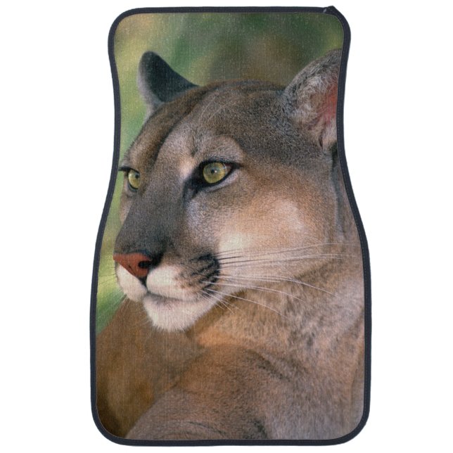 Cougar, California Car Mat (Front)