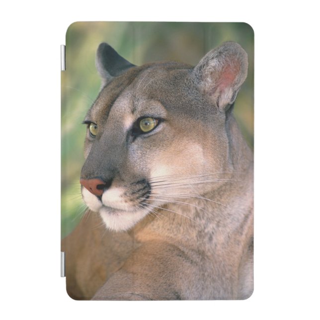 Cougar, California iPad Mini Cover (Front)
