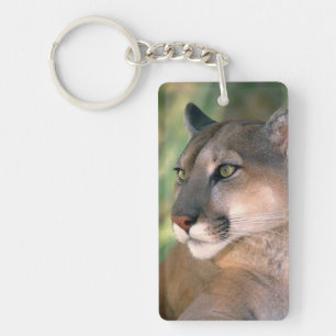 Cougar, California Keychain