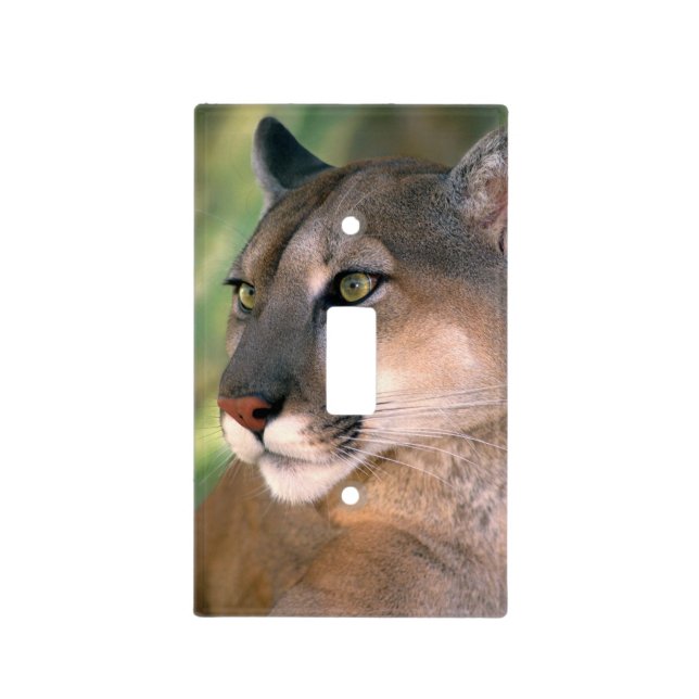 Cougar, California Light Switch Cover (Front)