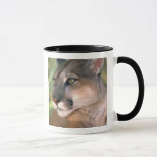 Cougar, California Mug